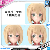 30MS OPTION FACE PARTS FACIAL EXPRESSION SET 5 (COLOR B)